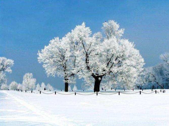 入冬天冷的关心短信_天气变冷温暖关心语