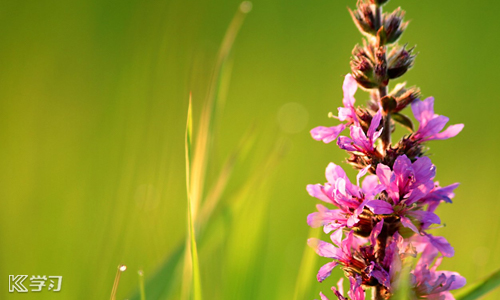 2019最新关于冬至的经典谚语大全_冬至搞笑寒冷谚语大全