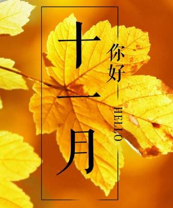 10月再见11月你好说说_十一月请对我们好一点