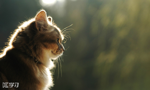 2019冬至来了的心情说说100句_冬至的欢乐心情说说大全