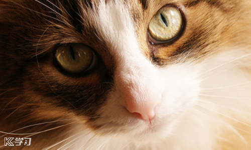 2019冬至的搞笑说说经典说说100句大全_冬至的搞笑经典说说大全