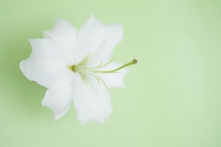 我就是我个性的说说 我就是我的个性签名