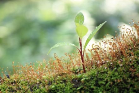 心情不好的个性说说 心情不好个性签名女生