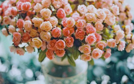 骂人讽刺人的说说 生气骂人讽刺人的说说