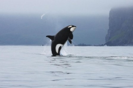 关于老弟的个性说说 形容姐弟情深的句子