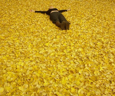 关于冷暴力的个性说说 冷暴力的句子