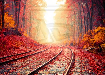 带点凄美伤感色彩的个性说说 凄美的伤感说说心