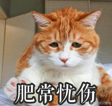 上班打瞌睡的说说 上班困的说说