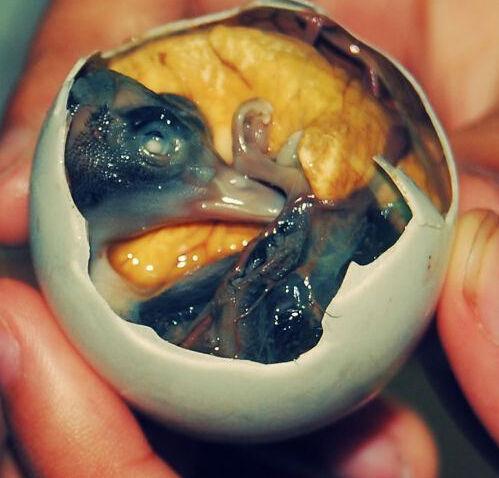 关于重口味的说说带图片