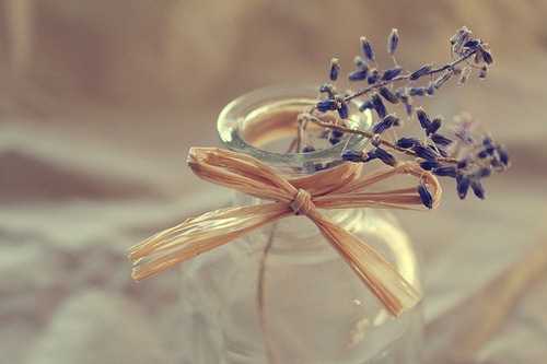 关于无能的说说 说自己无能的说说