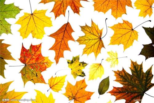 关于九月的说说 关于迎接九月的说说