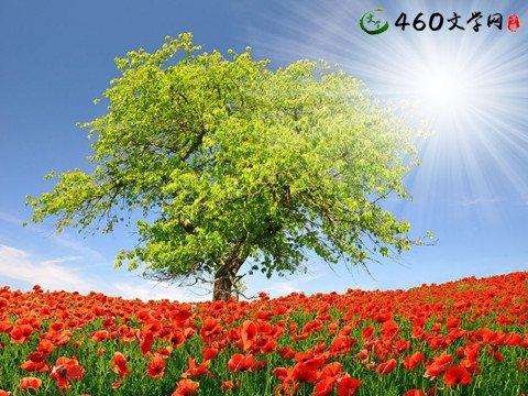 描写田园春色的说说