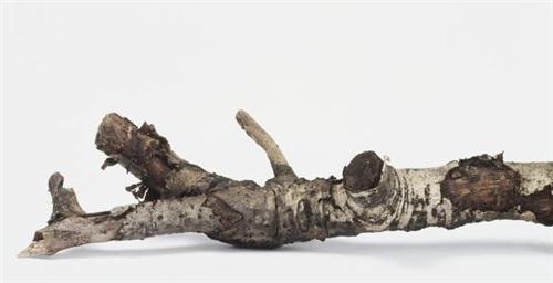 描写花枯萎的说说