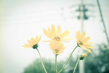 关于9月的朋友圈说说