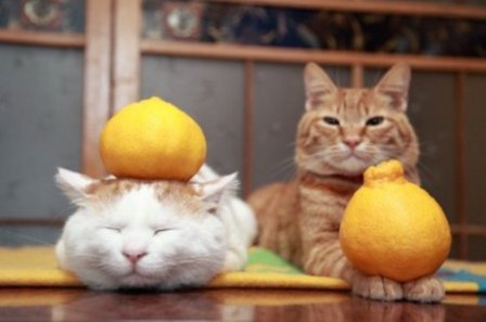 爱笑的眼睛的说说 眼睛的说说唯美