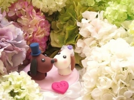 我一辈子不结婚的说说 关于不结婚的说说