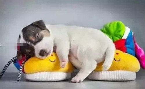 没钱寸步难行的说说 没钱什么都干不了的说说