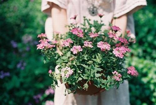 恨自己心软的说说 形容自己心软的说说