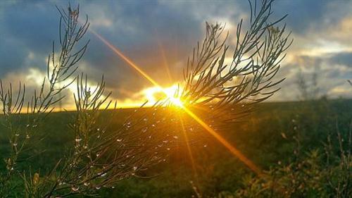 描写阳光明媚的说说 描写阳光明媚的句子