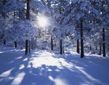 描写寒冬的说说 描写寒冬的句子