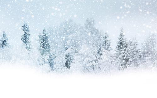 朋友圈下雪说说 关于下雪的唯美句子