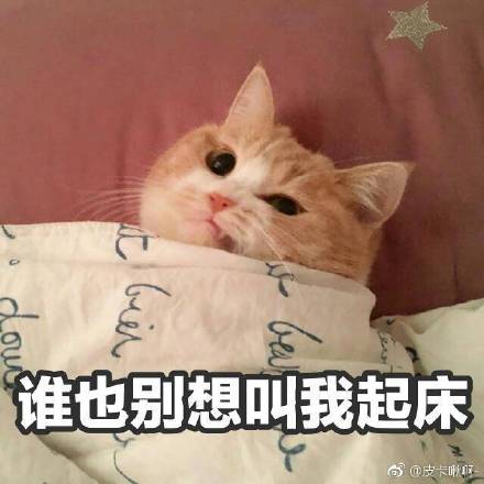 冬天的被窝说说 有关冬天被窝的说说