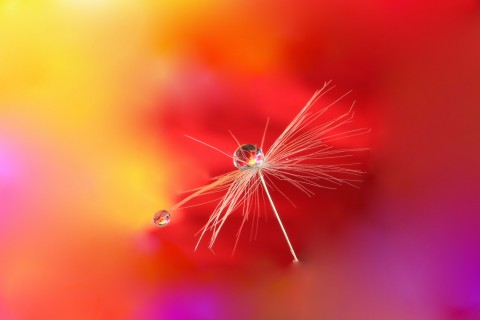 时间去哪了的短语说说