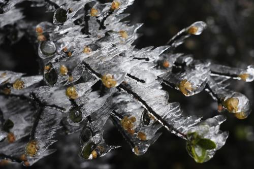 结冰的说说 QQ上关于结冰的说说