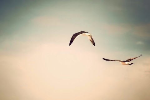 关于冲动的说说 关于冲动的名言