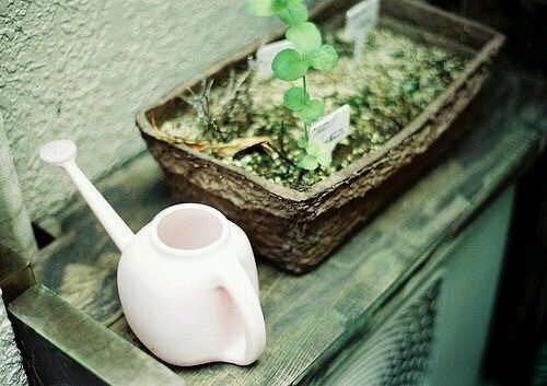 上进的朋友圈说说 努力上进的说说