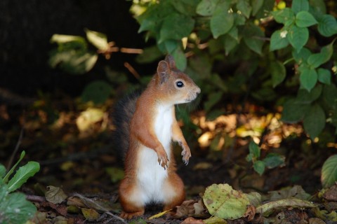 表达无聊的说说 表达无聊的句子