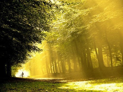 形容一个人孤傲的说说 孤傲高冷说说