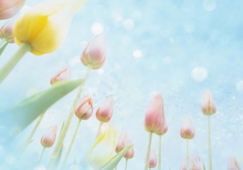 两点一线的发表说说 两点一线感慨s 句子