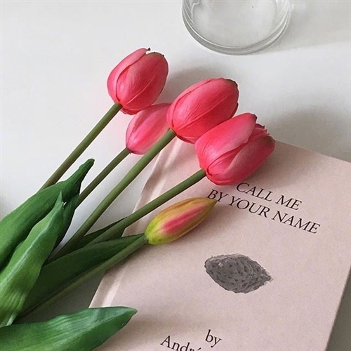 活出你想要的模样说说