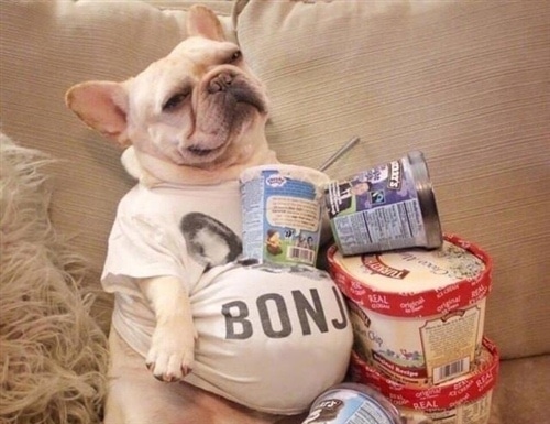 适合宅在家发的说说