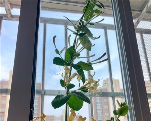 了却一桩心事的说说 形容心事了结的说说