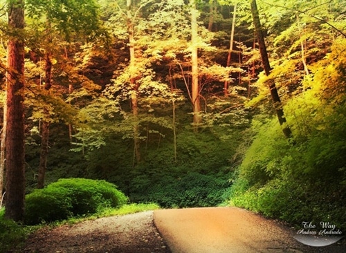 形容别有用心的说说