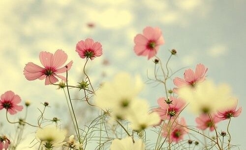 有些事看开就好的说说