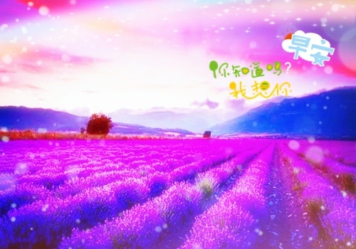 有些事点到为止的说说