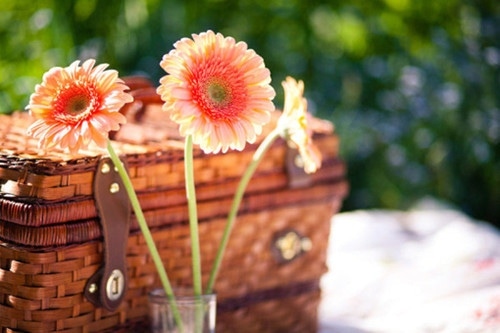 放弃一些得到一些的说说