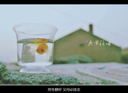 原谅我的任性的说说