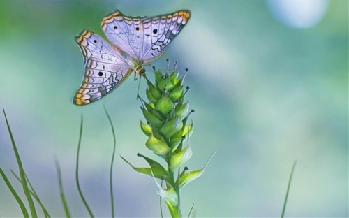 好几天没出门的说说 宅家几天不出门的说说