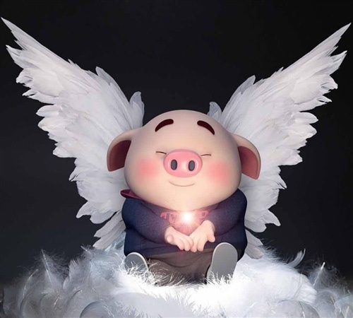 猪年本命年的说说 有关本命年的说说