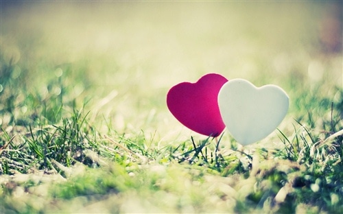 想和婆婆分开住的说说 和公婆不和想分开住的说说