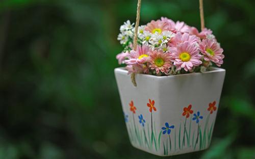 有些东西该放下了的说说