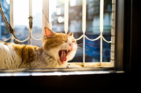 关于上班犯困的说说