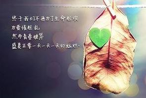 个性说说|你的个性说说需要它们