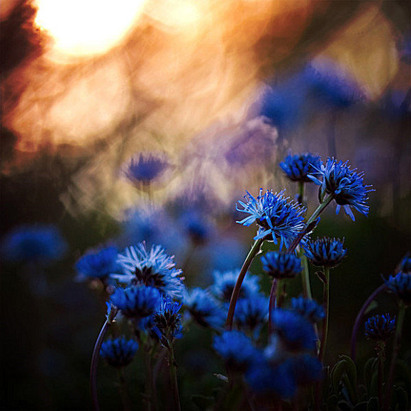 经典爆笑的逗比个性签名说说合集