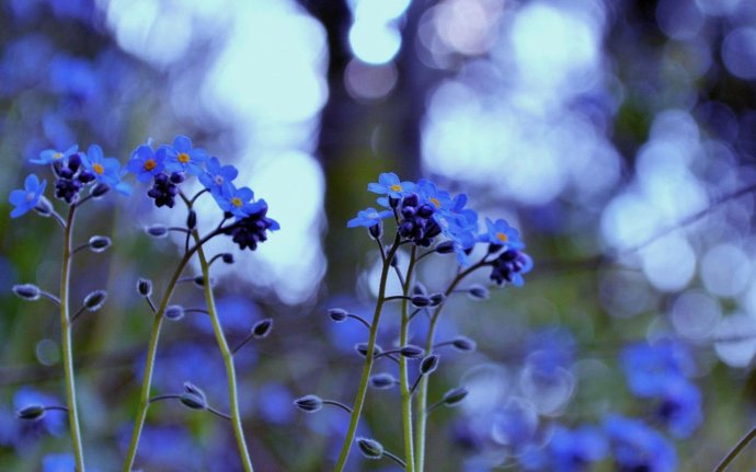 最为经典霸气的QQ个性说说合集