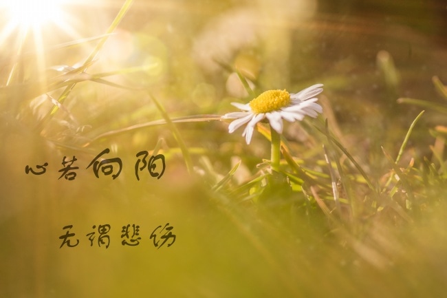 100句激励自己在困难面前永不放弃的坚强个性快手、朋友圈说说合集